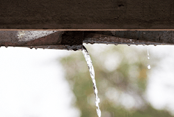 雨どいの水が漏れている