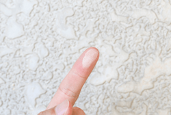 手で触ると白い粉が付く